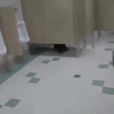 AAUAUuuuagGghaAAaŁŁuuaaaaaAAAAu