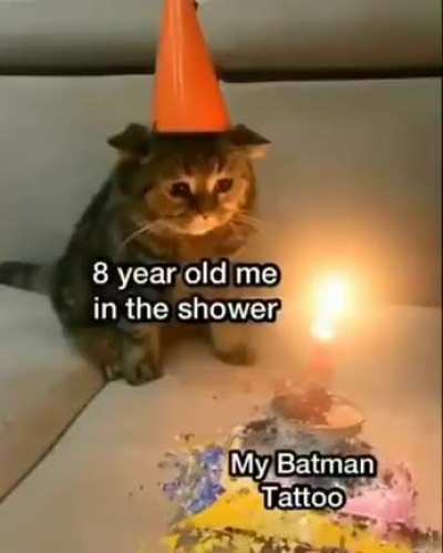 cat :(