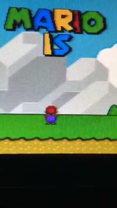 Mario is missing