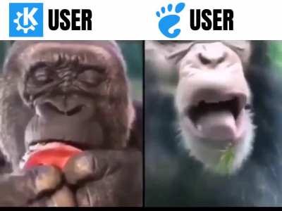 DE Usability