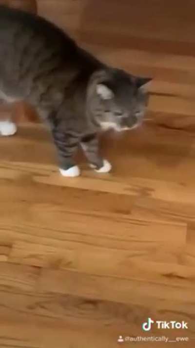 *screeching intensifies*