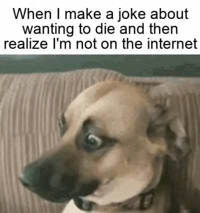 me_irl