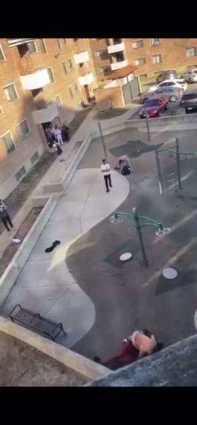 POS can&rsquo;t handle losing a fist fight and decided to become a murderer. (Chicago)