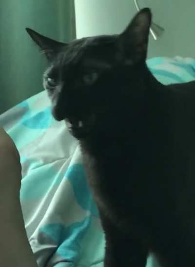 Disdain and disgust