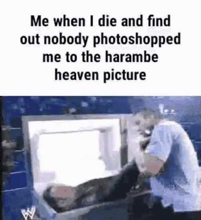 🗿