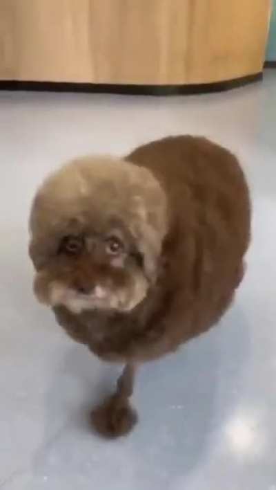 Nice trim :D