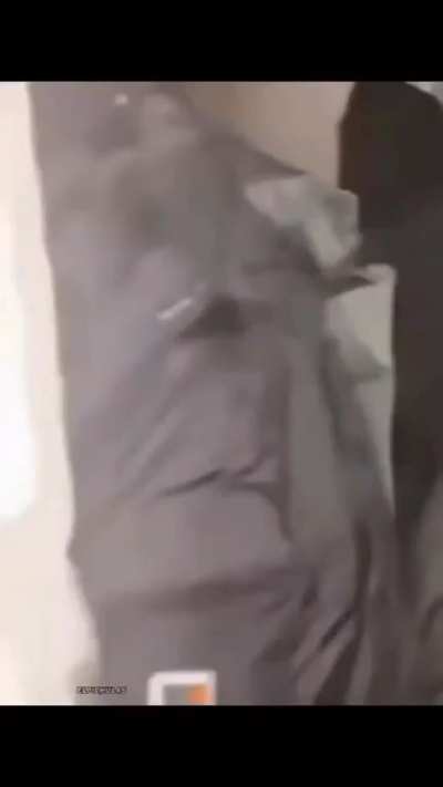 What is the original? I can't find anything about this online