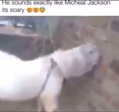 No way