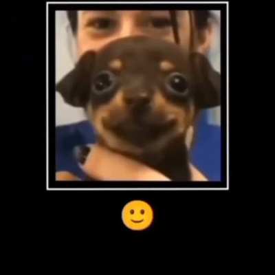 🙂