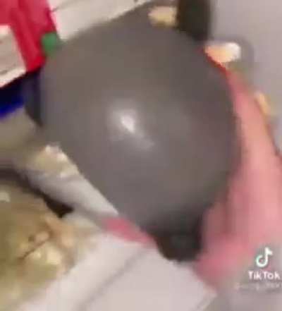chungus enormous