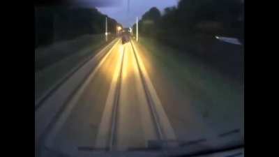 [NSFW] Dumb fucking deer is too stupid to get out the way of a complete fucking train