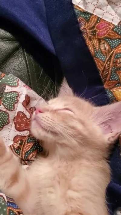 Snacks over naps!