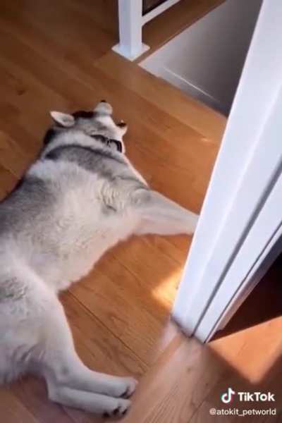 Monday mornings be like