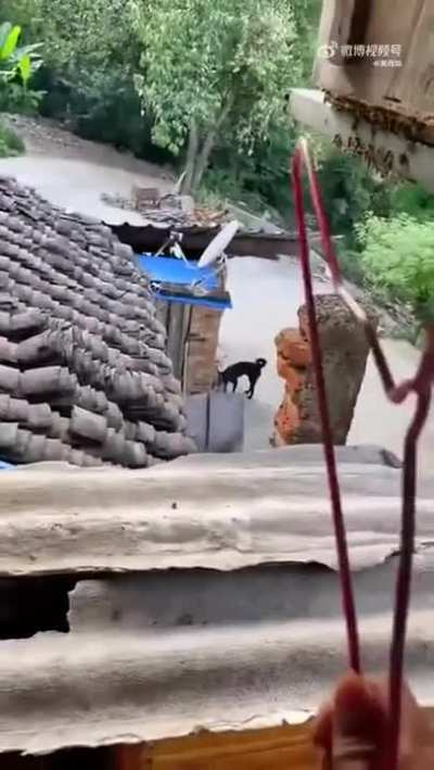 Guardian of the Hive Gates, Thrower of Hands