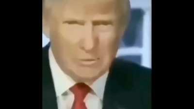они идут