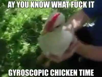 Chickens are weird