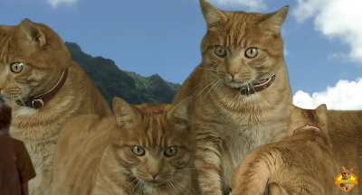 Jurassic Park, but with cats instead of dinosaurs