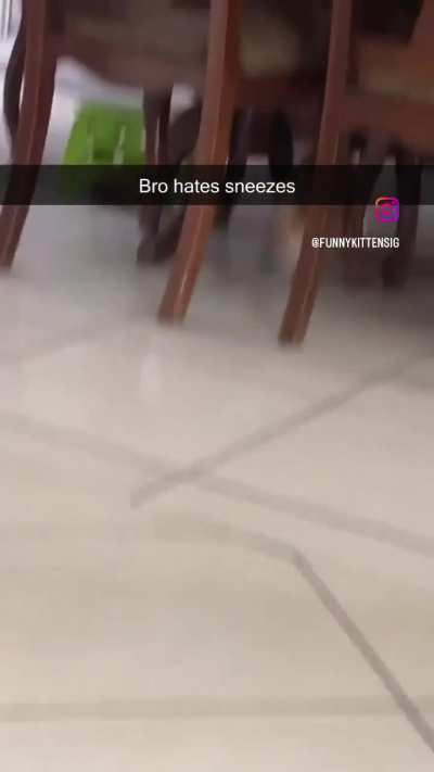 He HATES! Sneezes