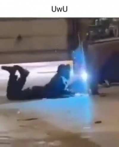 UwU