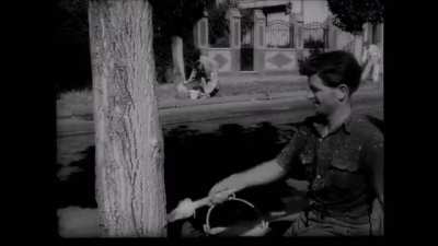 Lanus, 1956