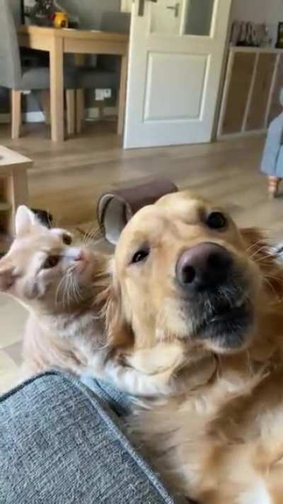 Tough Love