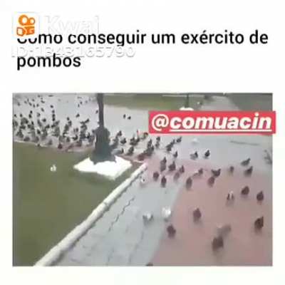 Renan eu estou indo te pegar