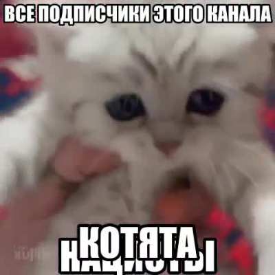 😺
