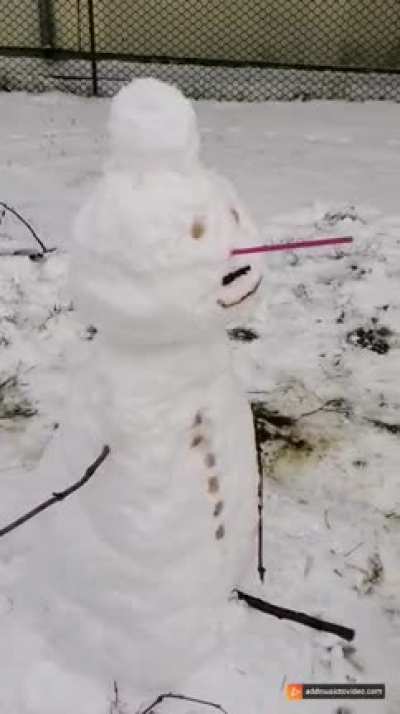 Snje&scaron;ko