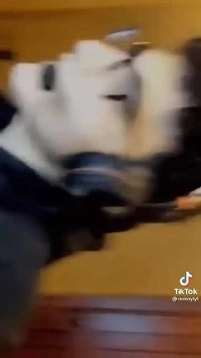 Nice