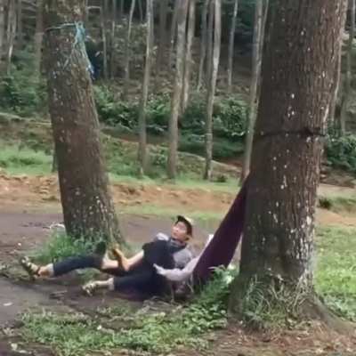 Bersama Jatuh Cinta