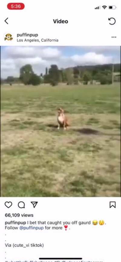 What a jump