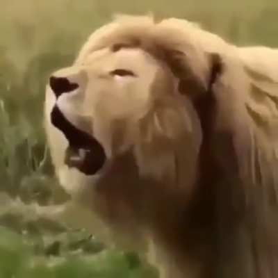 The King of R'N'B