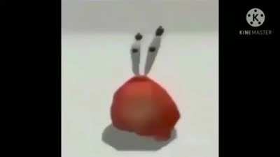 ahoy me bucko