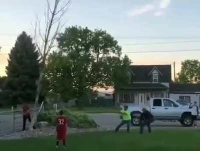 Tree: 1, Dumbass: 0