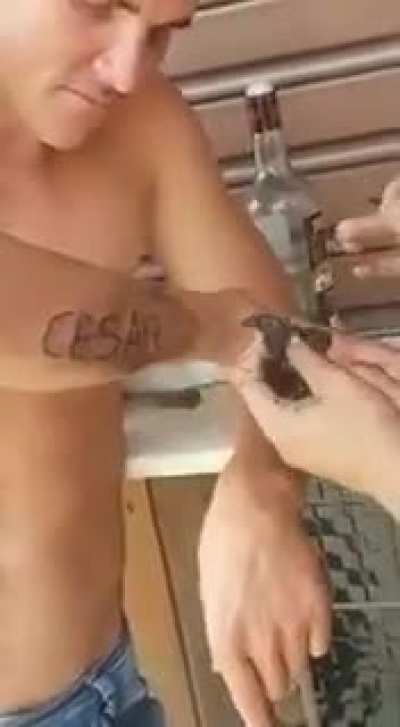 Cesar?