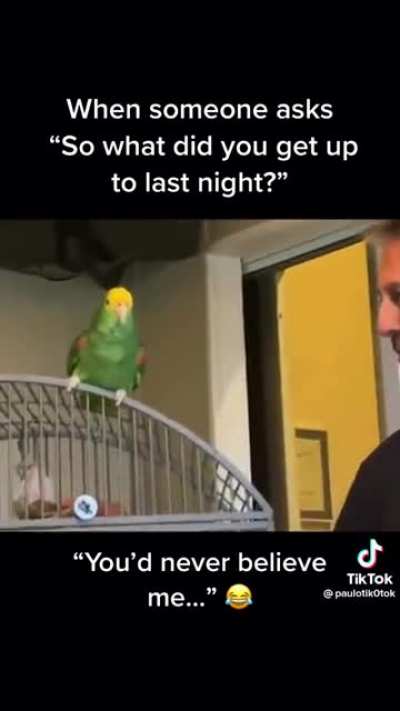 Karaoke parrot