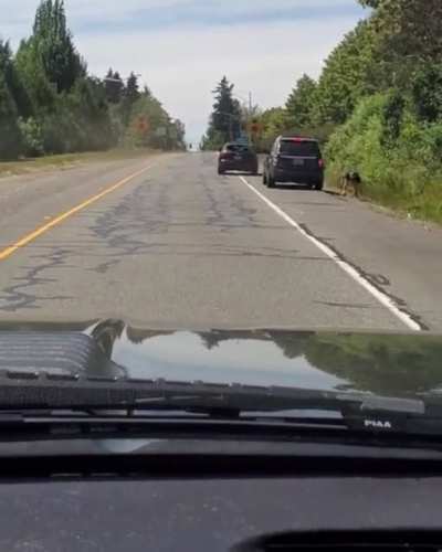 Crazy sh!t on the road today