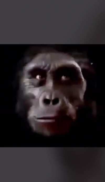Return to monke 🦧🦧🦧🦧🦧🦧🦧🦧🦧🦧🦧🦧🦧🦧🦧🦧🦧