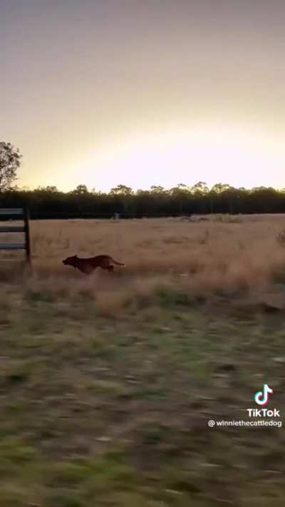 &ldquo;I am speed&rdquo;