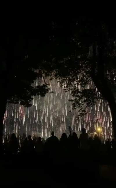 a beautiful display of fireworks ✨