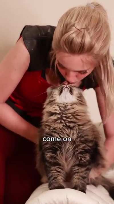Cat love.