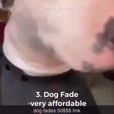 Rule