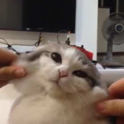Squishy squishy