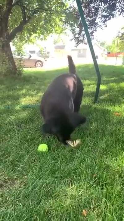 Maybe maybe maybe