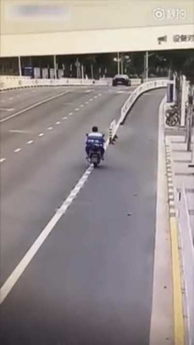 HMF while I make absolutely zero attempt to move out of the way at all