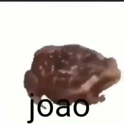 Jo&atilde;o