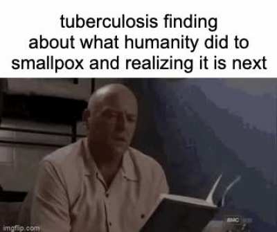 john green will rejoice