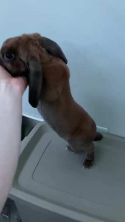 Stretching for banana