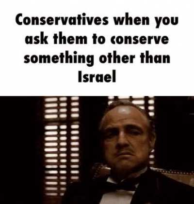 Are You Serious My Goy