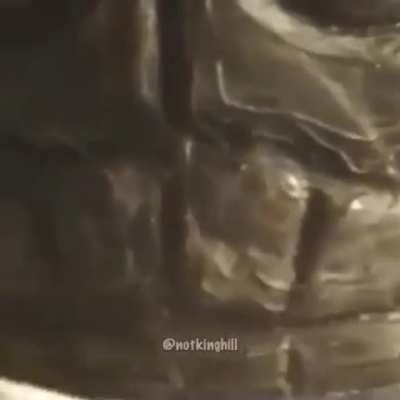 Cowabunga Dude